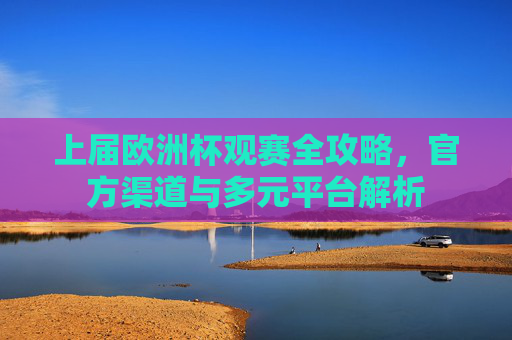 上届欧洲杯观赛全攻略,官方渠道与多元平台解析