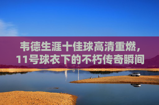韦德生涯十佳球高清重燃,11号球衣下的不朽传奇瞬间,韦德生涯十佳球,11号球衣下的不朽传奇瞬间