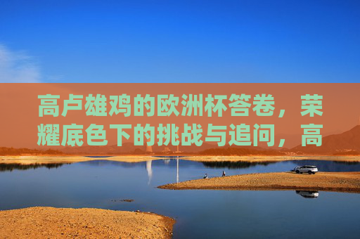 高卢雄鸡的欧洲杯答卷，荣耀底色下的挑战与追问，高卢雄鸡欧洲杯答卷，荣耀底色下的挑战与追问
