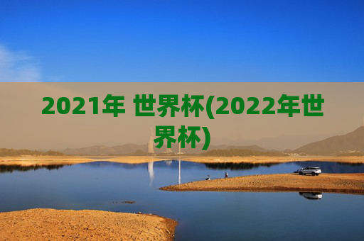 2021年 世界杯(2022年世界杯)