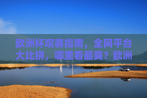欧洲杯观赛指南,全网平台大比拼,哪里看最爽?欧洲杯全网平台大比拼,哪里看最爽?
