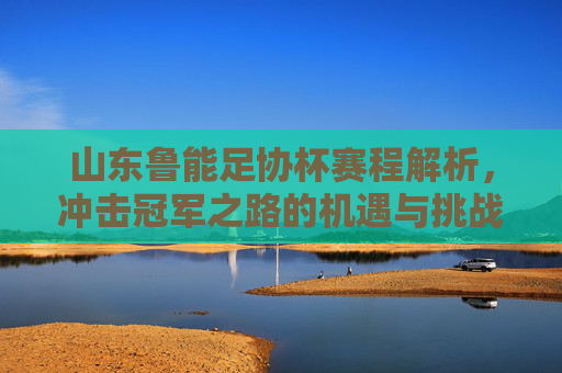 山东鲁能足协杯赛程解析，冲击冠军之路的机遇与挑战，山东鲁能足协杯赛程解析，冠军之路的机遇与挑战