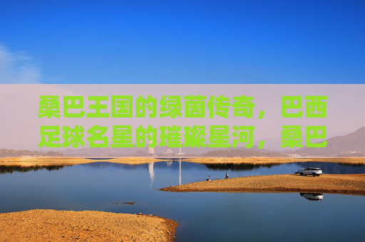 桑巴王国的绿茵传奇,巴西足球名星的璀璨星河,桑巴绿茵传奇,巴西足球名星的璀璨星河