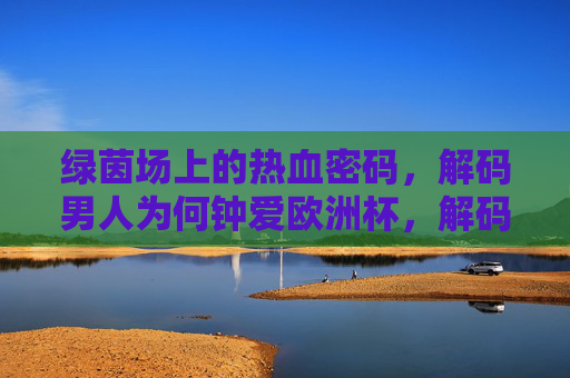 绿茵场上的热血密码,解码男人为何钟爱欧洲杯,解码男人钟爱欧洲杯,绿茵场上的热血密码
