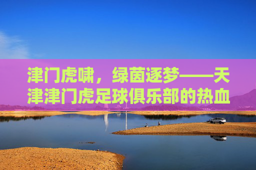 津门虎啸，绿茵逐梦——天津津门虎足球俱乐部的热血与坚守，津门虎啸，绿茵逐梦与热血坚守