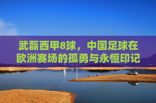 武磊西甲8球,中国足球在欧洲赛场的孤勇与永恒印记,武磊西甲8球,中国足球欧洲赛场的孤勇永恒印记