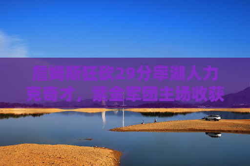 詹姆斯狂砍29分率湖人力克奇才，紫金军团主场收获关键胜利，詹姆斯狂砍29分率湖人主场力克奇才