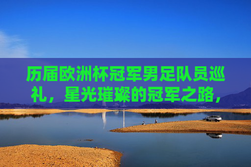 历届欧洲杯冠军男足队员巡礼，星光璀璨的冠军之路，欧洲杯冠军队员巡礼，星光璀璨的冠军之路