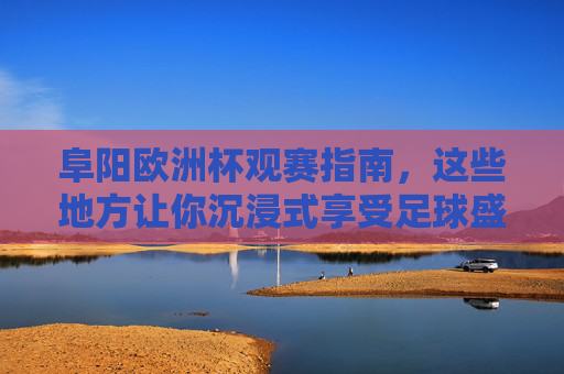 阜阳欧洲杯观赛指南,这些地方让你沉浸式享受足球盛宴,阜阳欧洲杯观赛指南,沉浸式享受足球盛宴