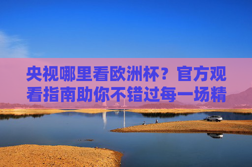 央视哪里看欧洲杯?官方观看指南助你不错过每一场精彩,央视欧洲杯官方观看指南,不错过每一场精彩