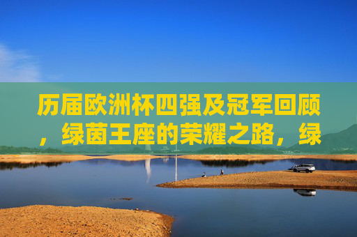 历届欧洲杯四强及冠军回顾，绿茵王座的荣耀之路，绿茵王座，欧洲杯四强冠军的荣耀回顾