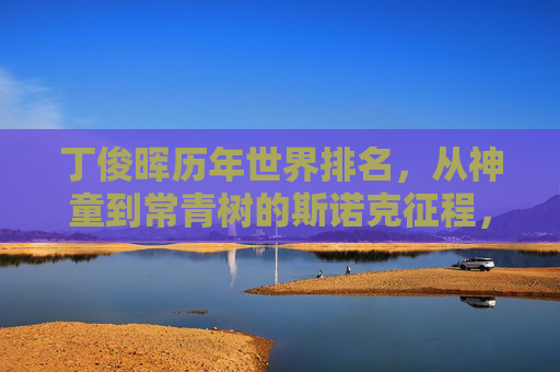 丁俊晖历年世界排名,从神童到常青树的斯诺克征程,丁俊晖,神童到常青树的斯诺克世界排名征程