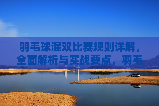 羽毛球混双比赛规则详解,全面解析与实战要点,羽毛球混双规则详解与实战要点