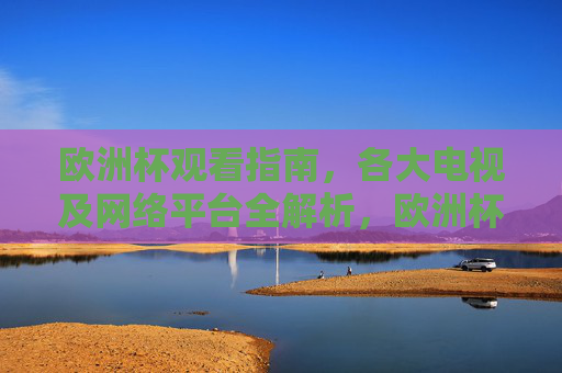 欧洲杯观看指南，各大电视及网络平台全解析，欧洲杯观赛指南，电视网络平台全解析