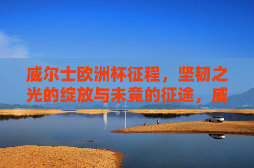 威尔士欧洲杯征程，坚韧之光的绽放与未竟的征途，威尔士欧洲杯，坚韧绽放，征途未竟