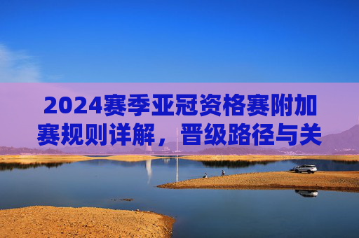 2024赛季亚冠资格赛附加赛规则详解，晋级路径与关键看点，2024赛季亚冠资格赛附加赛规则详解，晋级路径与关键看点