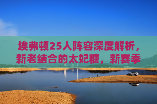 埃弗顿25人阵容深度解析，新老结合的太妃糖，新赛季剑指中游欧战？埃弗顿25人新老结合太妃糖，新赛季剑指中游欧战