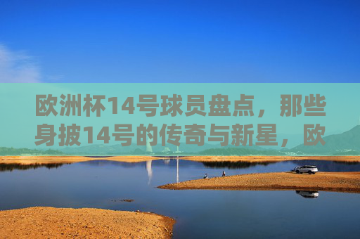 欧洲杯14号球员盘点，那些身披14号的传奇与新星，欧洲杯14号球员盘点，传奇与新星的星光