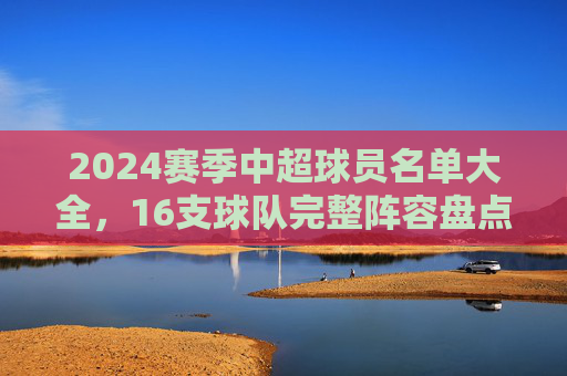 2024赛季中超球员名单大全，16支球队完整阵容盘点，2024赛季中超16队球员名单大全