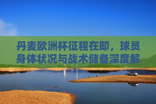 丹麦欧洲杯征程在即,球员身体状况与战术储备深度解析,丹麦欧洲杯征程,球员身体状况与战术储备深度解析