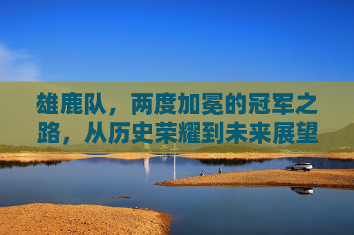 雄鹿队,两度加冕的冠军之路,从历史荣耀到未来展望