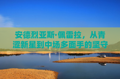 安德烈亚斯·佩雷拉,从青涩新星到中场多面手的坚守与蜕变,安德烈亚斯·佩雷拉,从青涩新星到中场多面手的坚守与蜕变