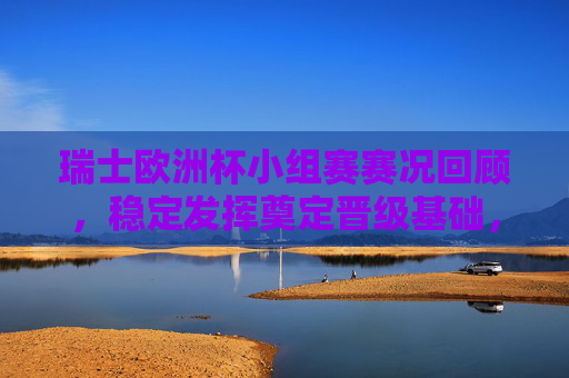 瑞士欧洲杯小组赛赛况回顾,稳定发挥奠定晋级基础,瑞士欧洲杯小组赛回顾,稳定发挥奠定晋级基础