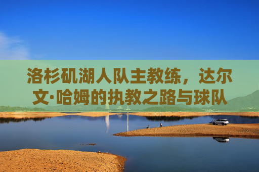 洛杉矶湖人队主教练，达尔文·哈姆的执教之路与球队未来展望，湖人主帅达尔文·哈姆，执教之路与未来展望
