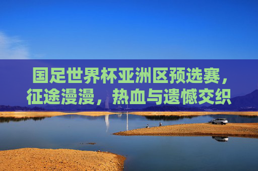 国足世界杯亚洲区预选赛，征途漫漫，热血与遗憾交织的绿茵战场，绿茵征途，国足世预赛的热血与遗憾