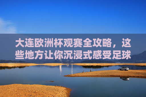 大连欧洲杯观赛全攻略,这些地方让你沉浸式感受足球激情,大连欧洲杯观赛全攻略,沉浸式感受足球激情