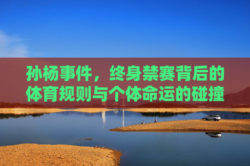 孙杨事件,终身禁赛背后的体育规则与个体命运的碰撞,孙杨事件,体育规则与个体命运的碰撞
