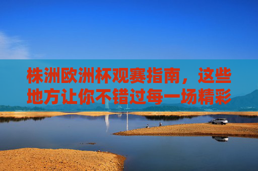 株洲欧洲杯观赛指南，这些地方让你不错过每一场精彩！株洲欧洲杯观赛指南，不错过每一场精彩