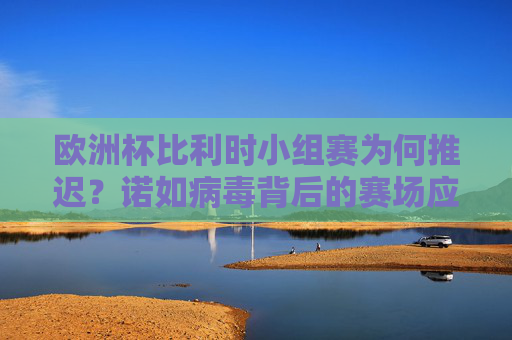 欧洲杯比利时小组赛为何推迟?诺如病毒背后的赛场应变,欧洲杯比利时小组赛因诺如病毒推迟,赛场应变引关注