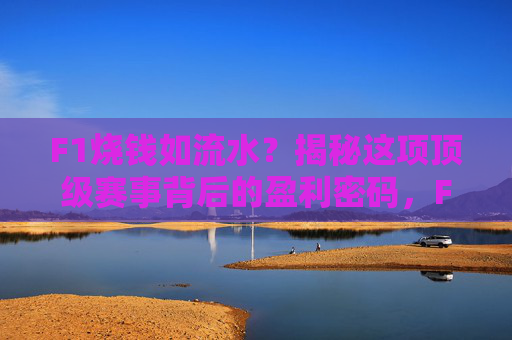 F1烧钱如流水?揭秘这项顶级赛事背后的盈利密码,F1烧钱背后的盈利密码