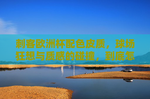 刺客欧洲杯配色皮质,球场狂想与质感的碰撞,到底怎么样?刺客欧洲杯配色皮质,球场狂想与质感的碰撞