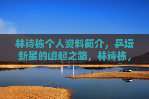 林诗栋个人资料简介，乒坛新星的崛起之路，林诗栋，乒坛新星的崛起之路