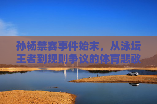 孙杨禁赛事件始末,从泳坛王者到规则争议的体育悲歌