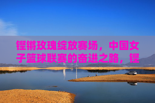 铿锵玫瑰绽放赛场,中国女子篮球联赛的奋进之路,铿锵玫瑰绽放赛场,中国女篮联赛奋进之路