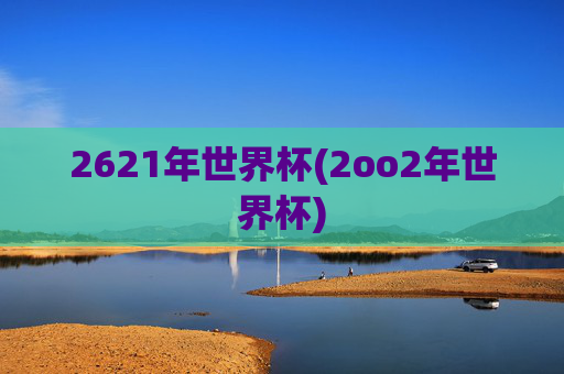 2621年世界杯(2oo2年世界杯)