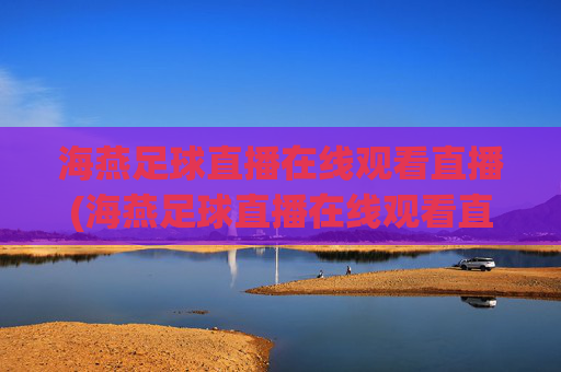 海燕足球直播在线观看直播(海燕足球直播在线观看直播回放)