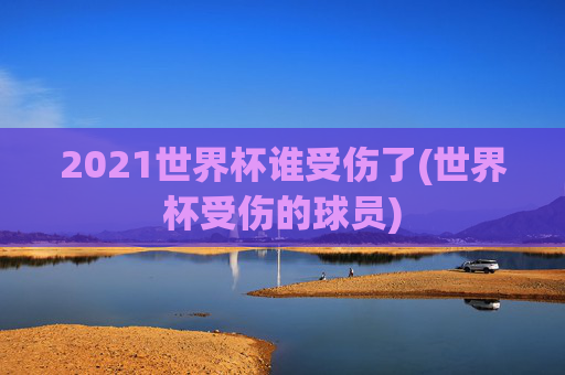 2021世界杯谁受伤了(世界杯受伤的球员)