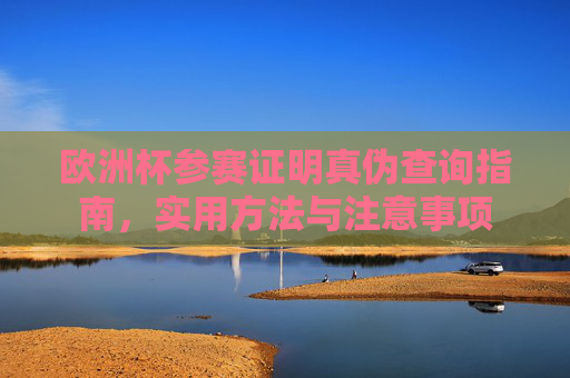 欧洲杯参赛证明真伪查询指南,实用方法与注意事项