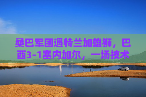 桑巴军团遇特兰加雄狮,巴西3-1塞内加尔,一场技术与力量的激情碰撞,桑巴军团3-1特兰加雄狮,技术与力量的激情碰撞
