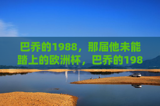 巴乔的1988,那届他未能踏上的欧洲杯,巴乔的1988,未踏上的欧洲杯