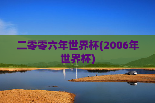 二零零六年世界杯(2006年世界杯)
