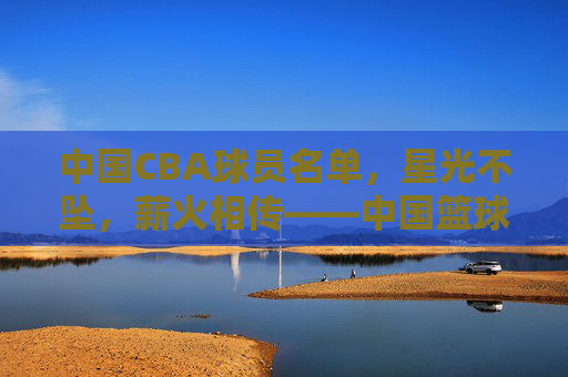 中国CBA球员名单，星光不坠，薪火相传——中国篮球的脊梁与未来，薪火相传，星光不坠——中国篮球的脊梁与未来