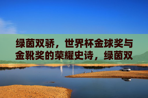 绿茵双骄,世界杯金球奖与金靴奖的荣耀史诗,绿茵双骄,世界杯金球金靴荣耀史诗