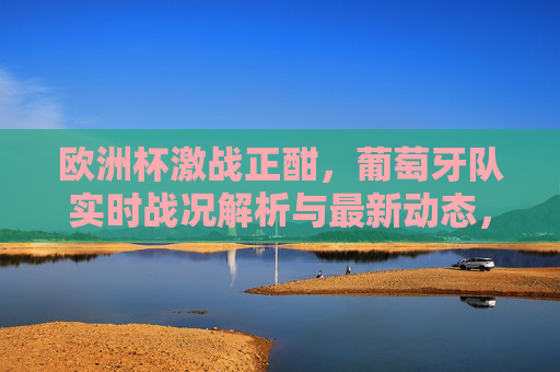 欧洲杯激战正酣,葡萄牙队实时战况解析与最新动态,欧洲杯激战正酣,葡萄牙队实时战况解析与最新动态