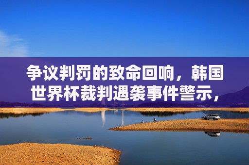 争议判罚的致命回响,韩国世界杯裁判遇袭事件警示,韩国世界杯裁判遇袭,争议判罚的致命警示