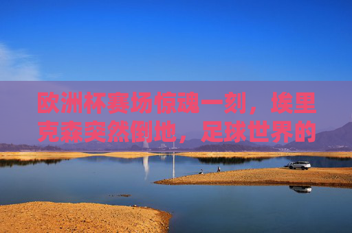 欧洲杯赛场惊魂一刻,埃里克森突然倒地,足球世界的生命课堂,欧洲杯惊魂一刻,埃里克森倒地,足球世界的生命课堂